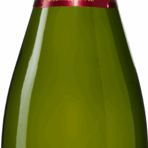 1 fles Georges Clément Champagne Brut