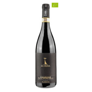 Amarone della Valpolicella 2019 - La Dama - 75CL - 16% Vol.