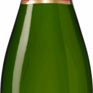 Champagne Georges Clément premier Cru Millésime Brut