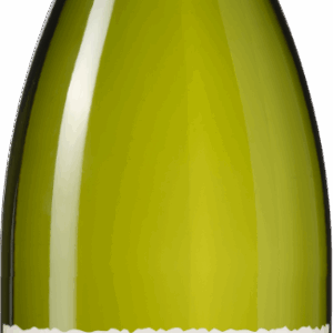 (Organic) Domaine Grand Veneur 'Les Champauvins' Côtes-du-Rhône Blanc