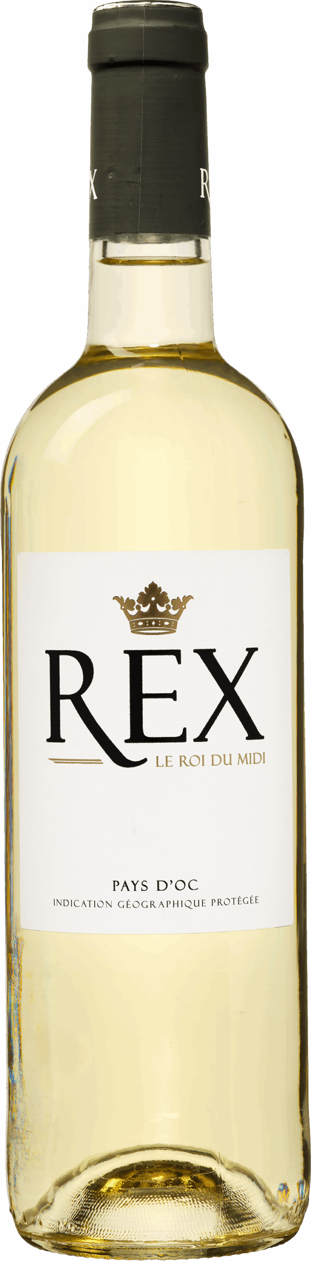 REX 'Le Roi du Midi' Blanc 1 k200784 2023 rex blanc 3 scaled