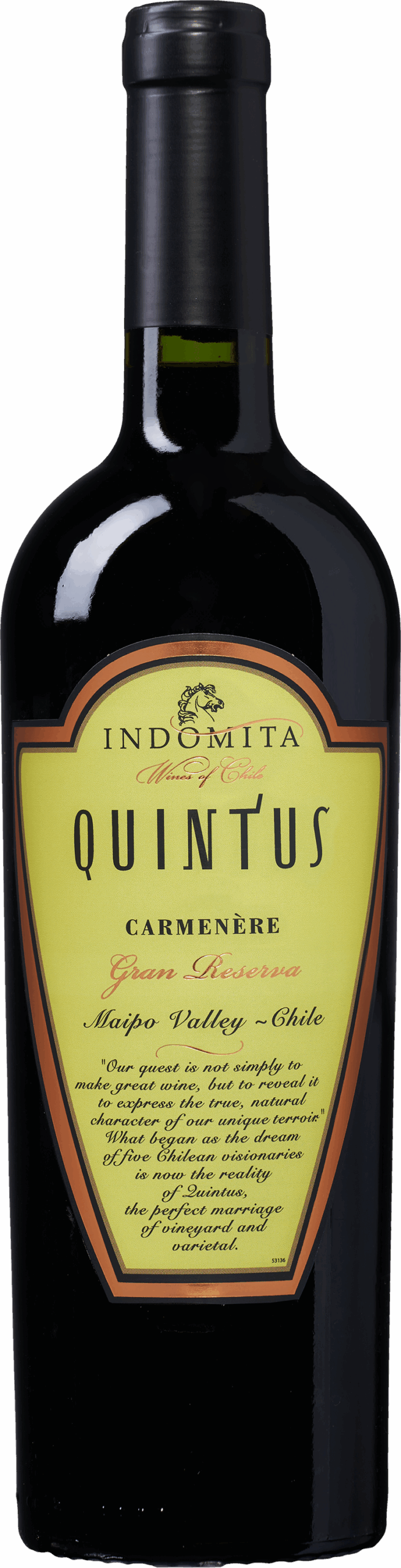 Quintus Gran Reserva Carménère 1 k201144 quintus gran reserva camernere 1 scaled