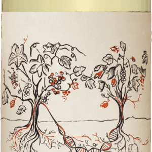 Vides Torcidas Chardonnay