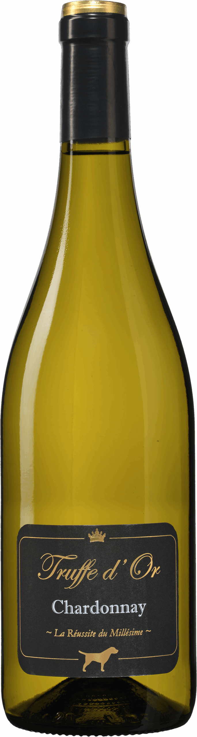 k205834 2024 truffe d or chardonnay 1 scaled