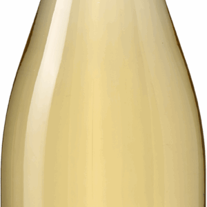 Casa Santos Lima Branco