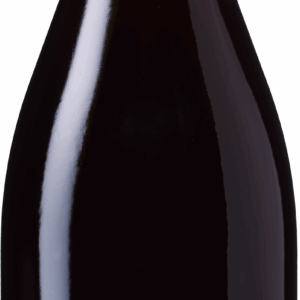 Doudet-Naudin Pinot Noir