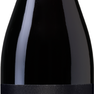 1 fles Antica Viti Valpolicella DOC Ripasso