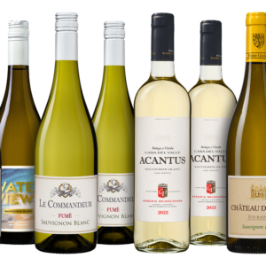 Sauvignon Blanc Wijnpakket Groot