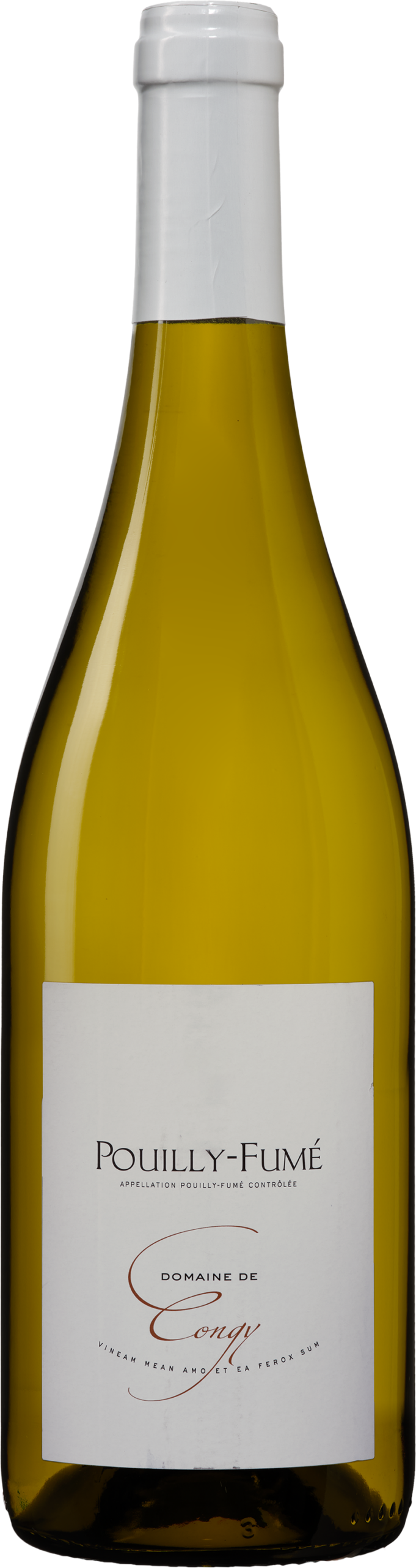 k209435 2024 domaine de gongy aop pouilly fume edit 1 scaled