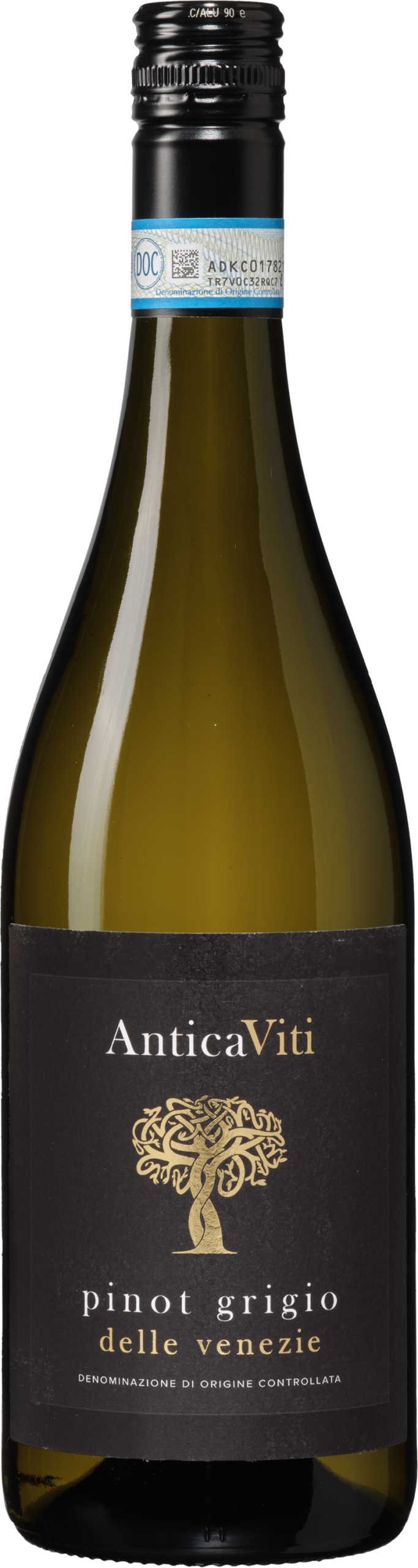 k211525 2025 anticavita pinot grigio della venezie scaled