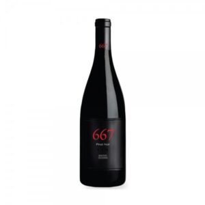 Noble Vines 667 Pinot Noir AVA Monterey
